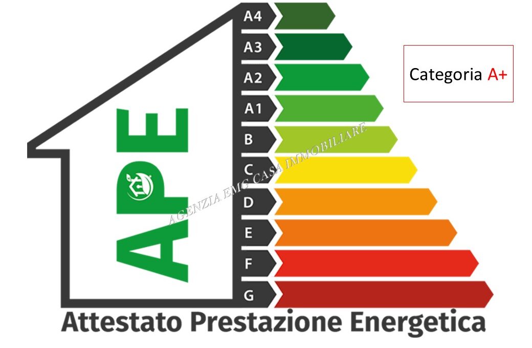 Diapositiva29